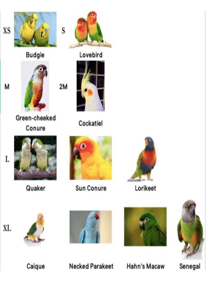 Barn Eleven Bird Flight Harness Vest, Parrot Flight Suit with Leash for Parakeets Cockatiels Conures Budgies, Bird Flying Clothes with Rope and Handle for Outdoor Activities Training, Anti Bite (Small) - Image 2